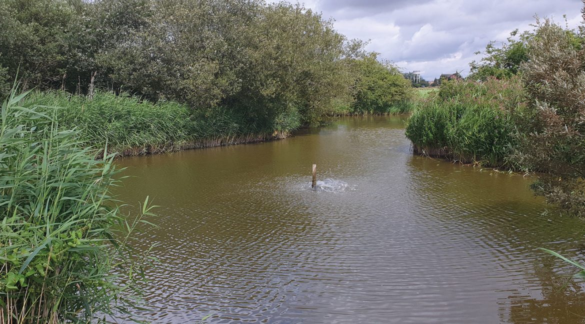 Plot-4---Stacey-Twin-Lodge-32x20-10