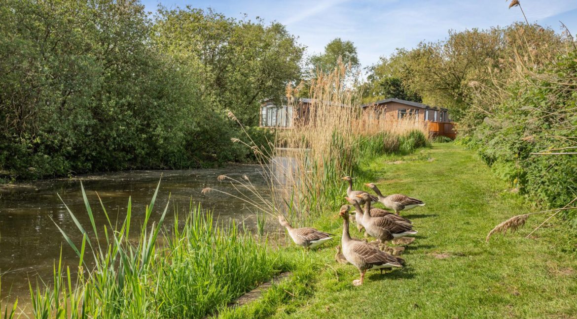 Rental---Tench-Lodge-22