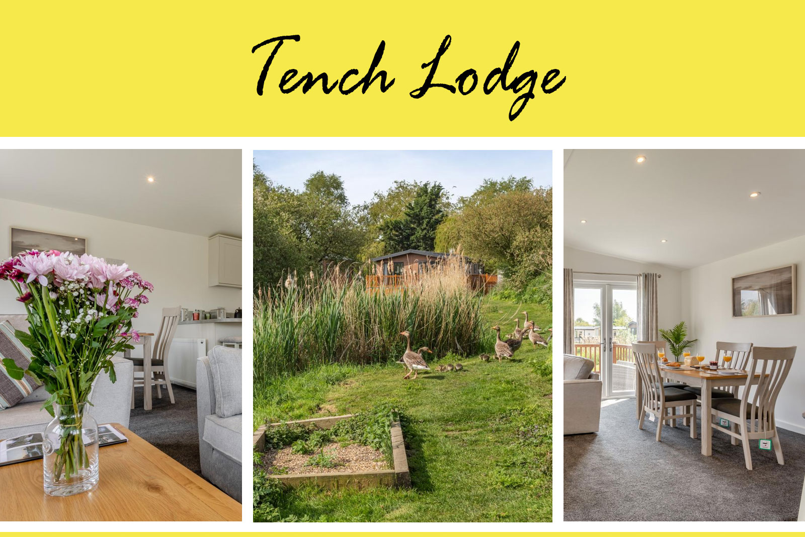Tench Lodge – Pisces & Acorn Country Park